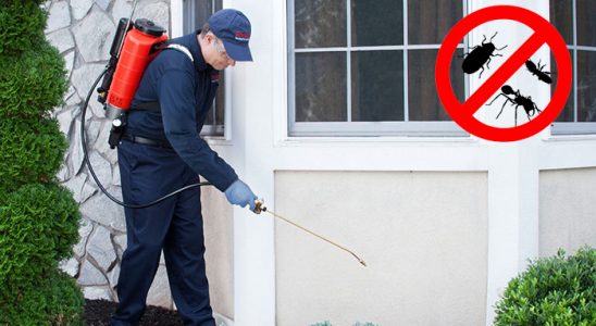 Sorgun Gümüşkurt İlaçlama böcek ilaçlama ve haşere kontrolü — ilaclama-tr.com